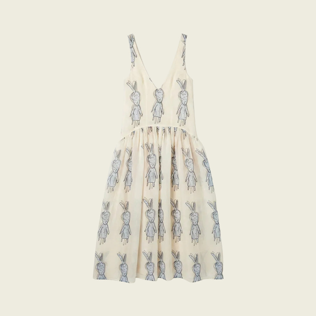 Silk Organza Print Dress