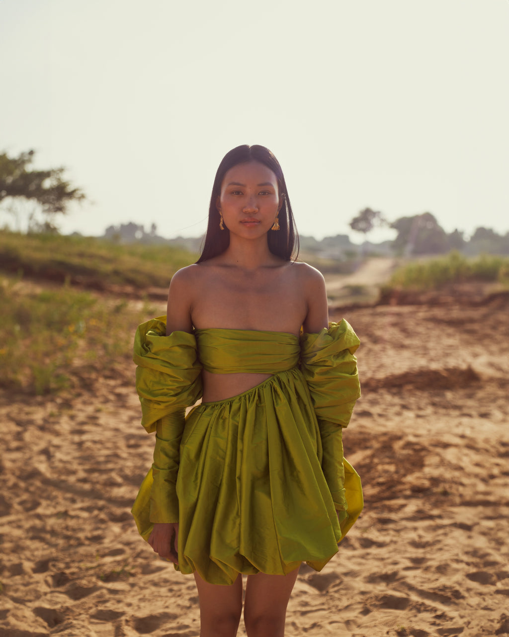 Green Taffeta Dress