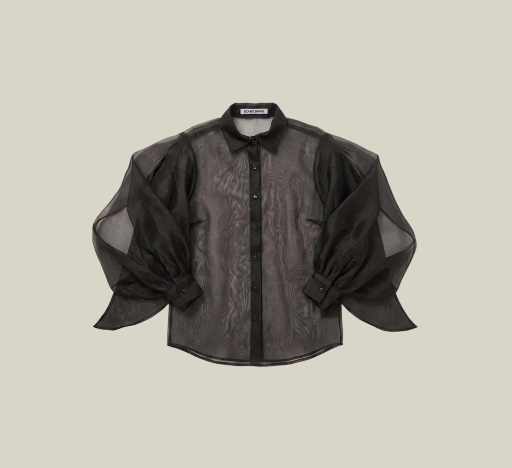 A black sheer mesh blouse with dramatic balloon sleeves and a subtle tonal embroidered pattern, displayed flat against a light beige background.