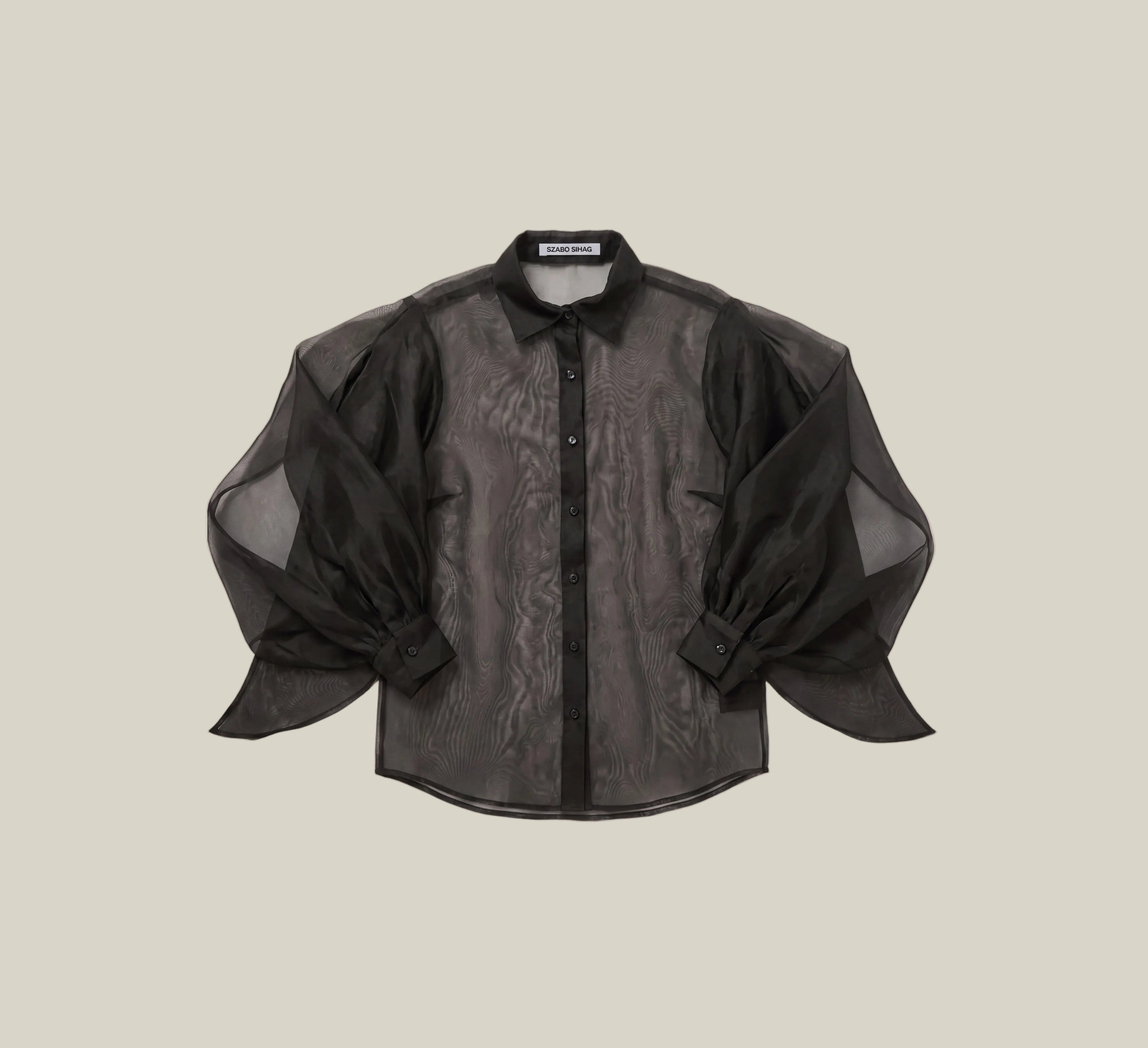 A black sheer mesh blouse with dramatic balloon sleeves and a subtle tonal embroidered pattern, displayed flat against a light beige background.